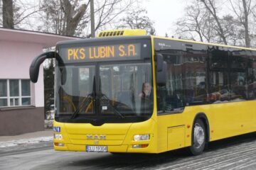 nowe autobusy
